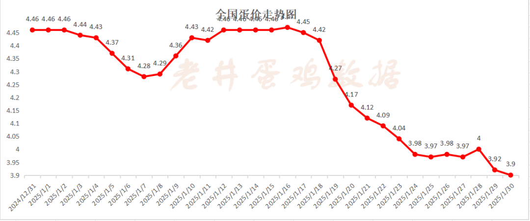 老井扯雞蛋：昨日全國雞蛋均價(jià)、淘汰雞均價(jià)均偏弱！