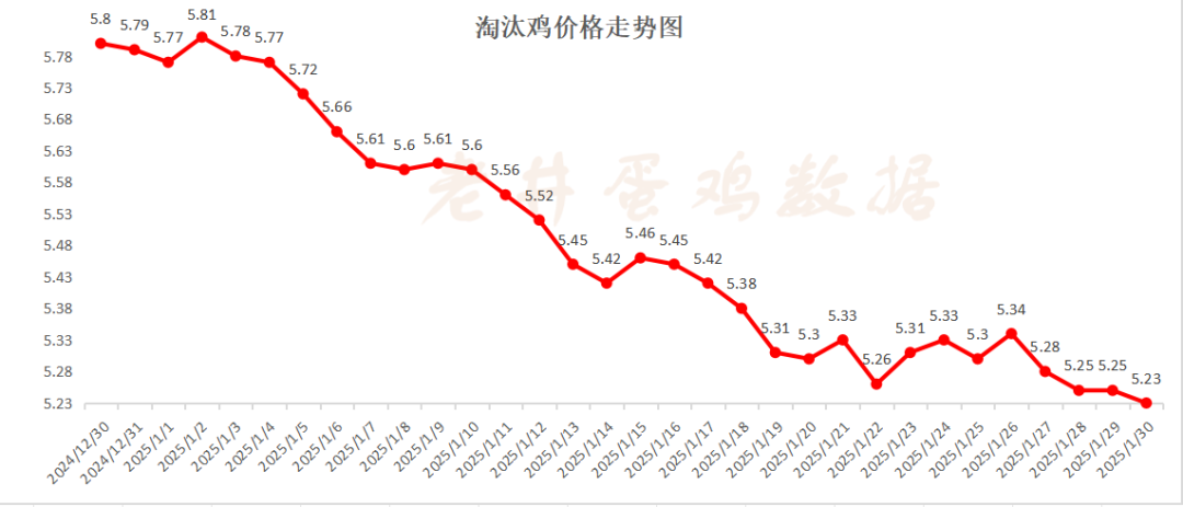 老井扯雞蛋：昨日全國雞蛋均價(jià)、淘汰雞均價(jià)均偏弱！