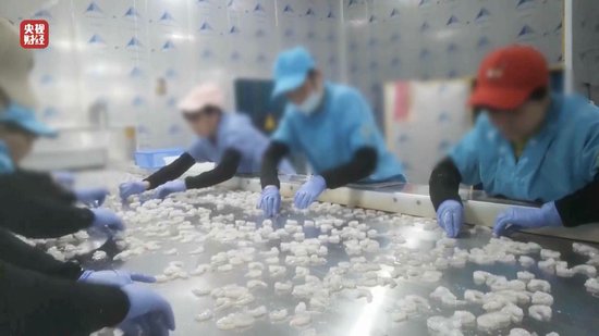 3·15晚會(huì)丨“保水蝦仁”，浮出水面！1斤蝦仁7兩冰……