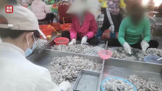 3·15晚會(huì)丨“保水蝦仁”，浮出水面！1斤蝦仁7兩冰……