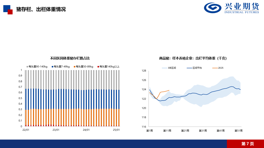 【興期研究·品種聚焦】生豬：消費需求預計改善，下方仍有支撐