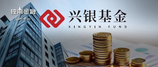 從“千億神話”到縮水190億，金融“女將”辭任興銀基金董事長